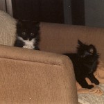 Beni & Joon